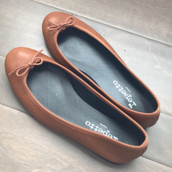 Repetto Shoes - Repetto Ballet Shoes (around size 7)